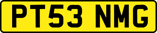 PT53NMG