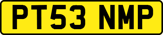 PT53NMP