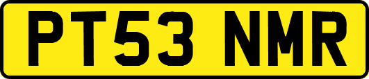 PT53NMR