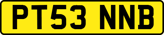 PT53NNB
