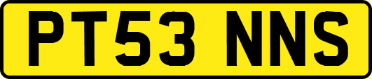 PT53NNS