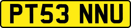 PT53NNU