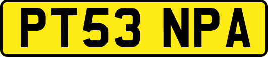 PT53NPA