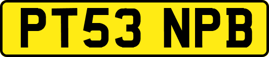 PT53NPB