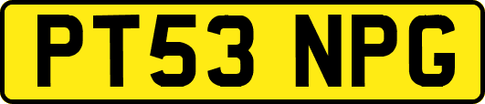 PT53NPG