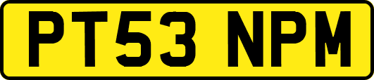 PT53NPM