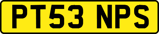 PT53NPS
