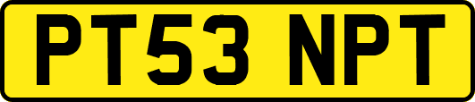 PT53NPT