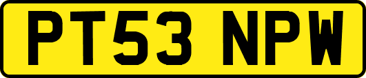 PT53NPW