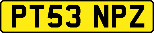 PT53NPZ