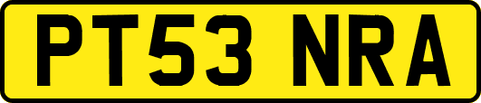 PT53NRA