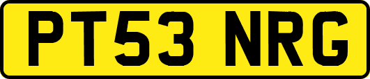 PT53NRG
