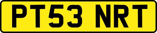 PT53NRT