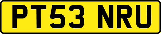 PT53NRU
