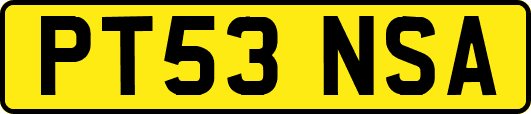 PT53NSA