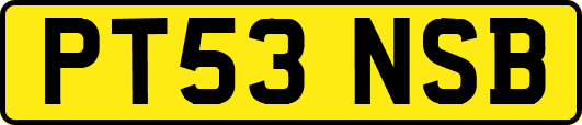 PT53NSB