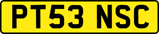 PT53NSC