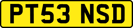 PT53NSD