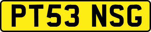 PT53NSG