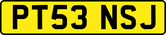 PT53NSJ