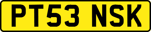 PT53NSK