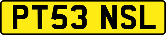 PT53NSL