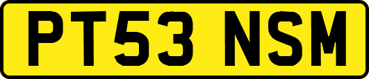 PT53NSM