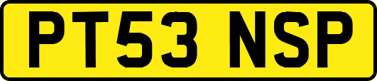 PT53NSP