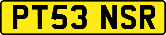 PT53NSR