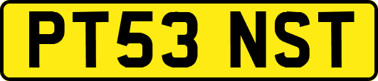 PT53NST