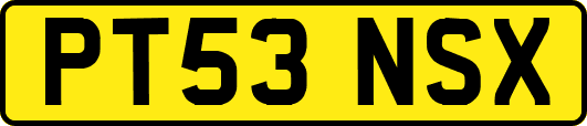 PT53NSX