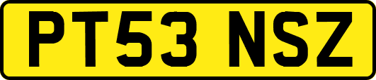 PT53NSZ