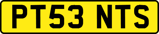 PT53NTS