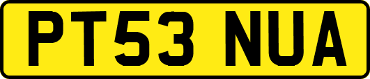 PT53NUA