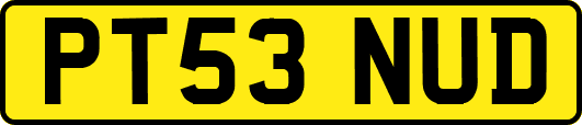 PT53NUD