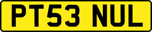 PT53NUL