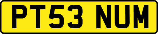 PT53NUM