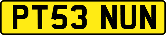 PT53NUN