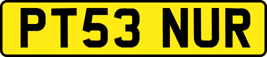 PT53NUR