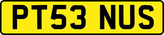 PT53NUS