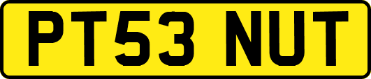 PT53NUT