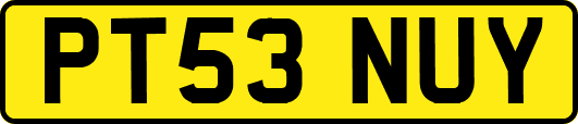 PT53NUY