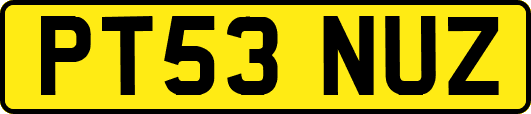 PT53NUZ