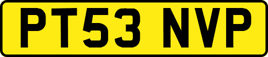 PT53NVP