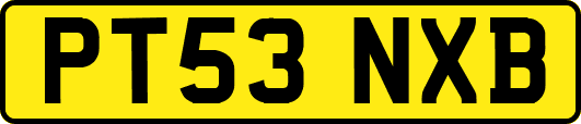 PT53NXB