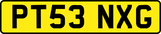 PT53NXG
