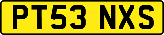 PT53NXS