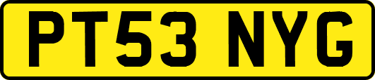 PT53NYG