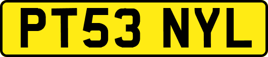 PT53NYL