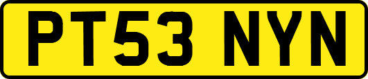 PT53NYN
